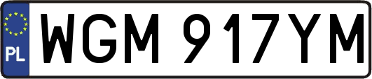 WGM917YM