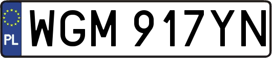 WGM917YN