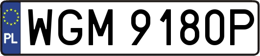 WGM9180P