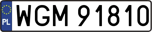 WGM91810