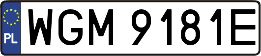WGM9181E