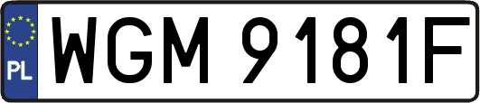 WGM9181F
