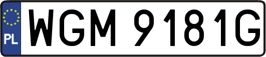 WGM9181G