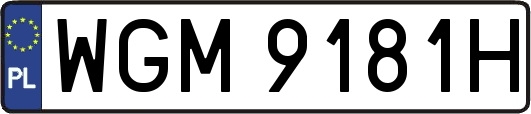 WGM9181H