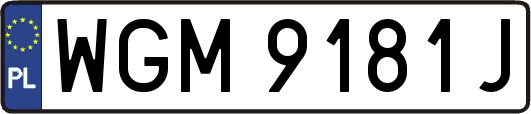WGM9181J