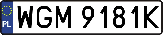 WGM9181K
