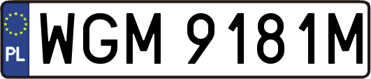 WGM9181M