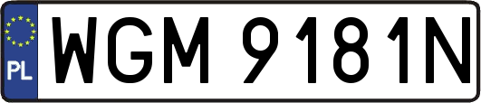 WGM9181N
