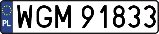 WGM91833