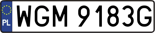WGM9183G