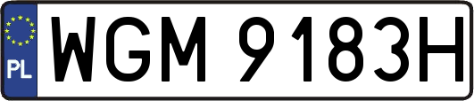 WGM9183H