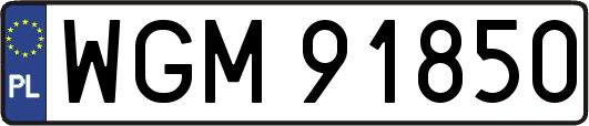 WGM91850