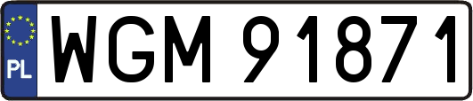 WGM91871