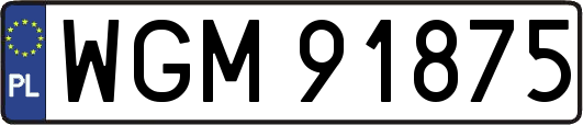 WGM91875