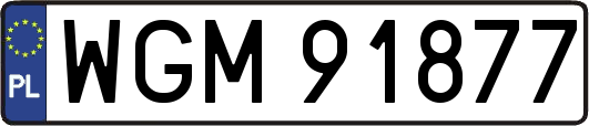 WGM91877