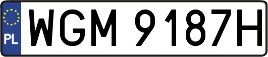 WGM9187H