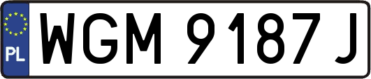 WGM9187J