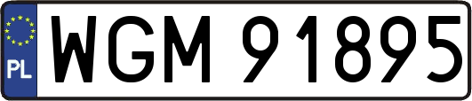 WGM91895