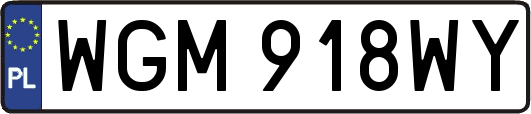WGM918WY