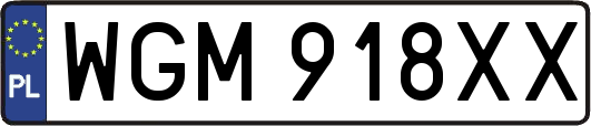 WGM918XX