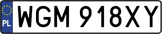 WGM918XY