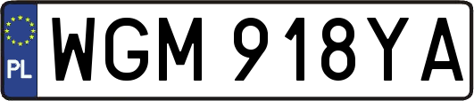 WGM918YA