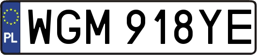 WGM918YE