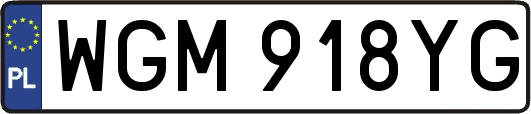 WGM918YG