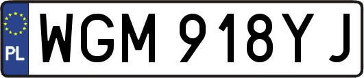 WGM918YJ