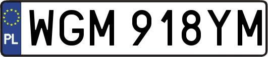 WGM918YM