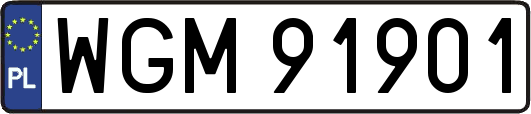 WGM91901