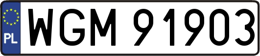 WGM91903