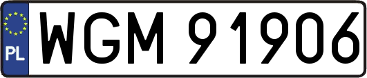 WGM91906