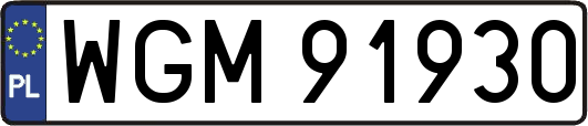 WGM91930