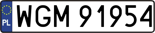 WGM91954