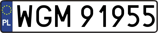 WGM91955