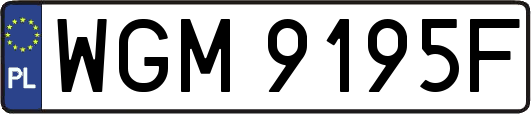 WGM9195F