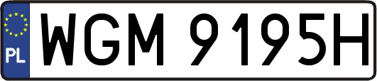 WGM9195H