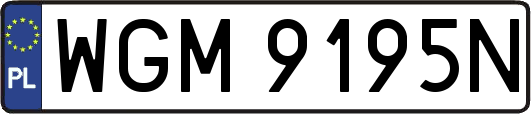 WGM9195N