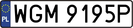 WGM9195P