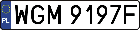 WGM9197F