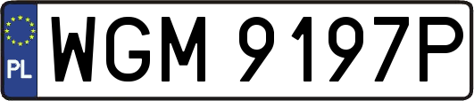 WGM9197P