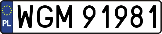 WGM91981