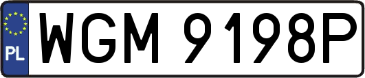 WGM9198P
