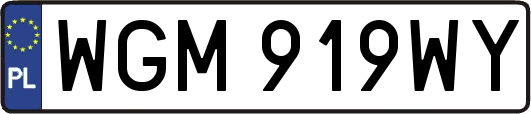 WGM919WY