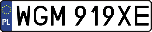 WGM919XE