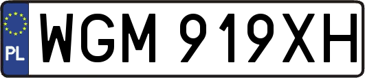 WGM919XH