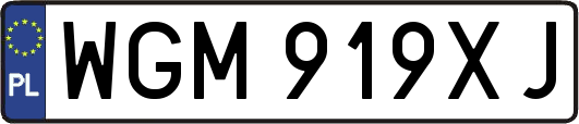 WGM919XJ