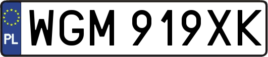 WGM919XK