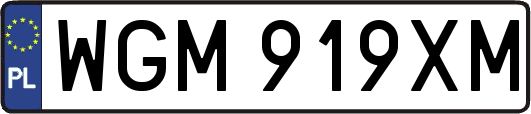 WGM919XM